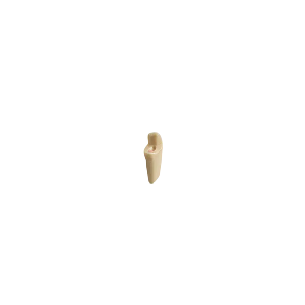 Dientes Imitando Situacion Post Endo Para Tipodonto de 28 Dientes - producto dental BIGtree