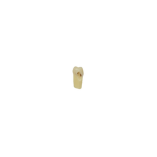 Diente Esmalte-Dentina Con Caries Nueva Version Para Tipodonto de 28 Dientes