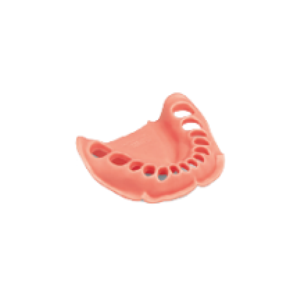 Encia Inferior - producto dental BIGtree