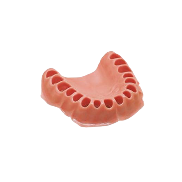 Encia Para Tipodonto 32 Dientes - producto dental BIGtree