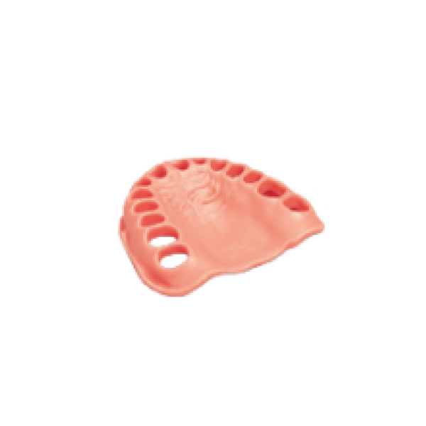 Encia Para Tipodonto 28 Dientes Superior - producto dental BIGtree