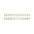 Juego de Dientes 1 X 32 Ag-3