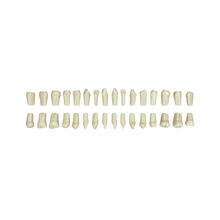 Juego de Dientes 1 X 32 Ag-3