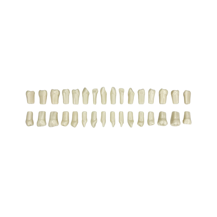 Juego de Dientes 1 X 32 Ag-3