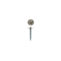Separador Softy Longlife Ca 1.0 mm 1Pz P60 D
