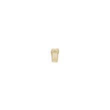 Diente Modelo Individual Para Tipodonto de 28 Dientes