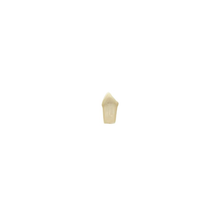Diente Modelo Individual Para Tipodonto de 28 Dientes