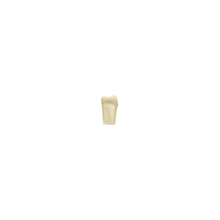 Diente Modelo Individual Para Tipodonto de 32 Dientes
