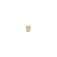 Diente Modelo Individual Para Tipodonto de 32 Dientes