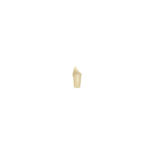 Diente Modelo Individual Para Tipodonto de 32 Dientes
