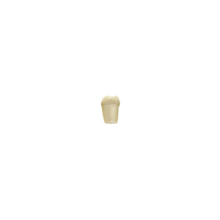 Diente Modelo Individual Para Tipodonto de 32 Dientes