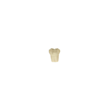 Diente Modelo Individual Para Tipodonto de 32 Dientes