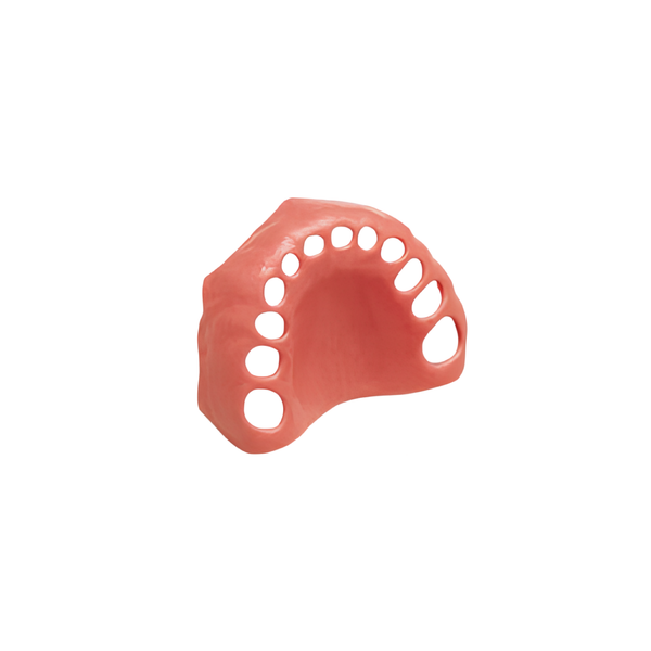 Encia Para Tipodonto Infantil Regular Para 24 Pz - producto dental BIGtree