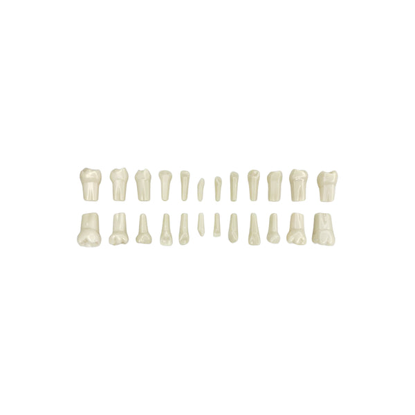 Juego de dientes infantil